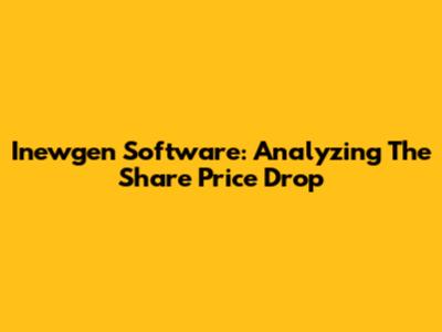 Inewgen Software: Analyzing The Share Price Drop