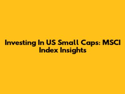 Investing In US Small Caps: MSCI Index Insights