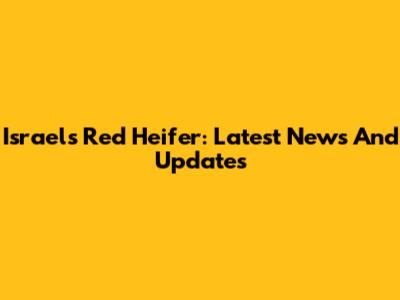 Israel's Red Heifer: Latest News And Updates