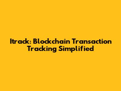 Itrack: Blockchain Transaction Tracking Simplified