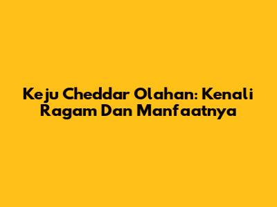 Keju Cheddar Olahan: Kenali Ragam Dan Manfaatnya