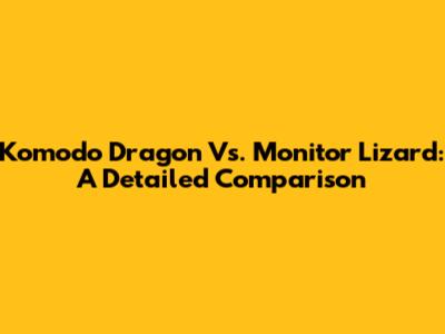 Komodo Dragon Vs. Monitor Lizard: A Detailed Comparison