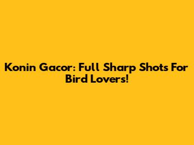 Konin Gacor: Full Sharp Shots For Bird Lovers!