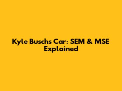 Kyle Busch's Car: SEM & MSE Explained