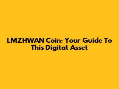 LMZHWAN Coin: Your Guide To This Digital Asset