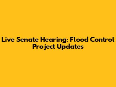 Live Senate Hearing: Flood Control Project Updates