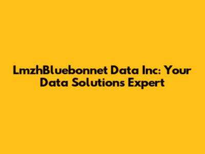 LmzhBluebonnet Data Inc: Your Data Solutions Expert