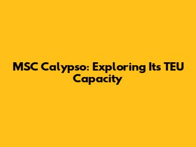 MSC Calypso: Exploring Its TEU Capacity