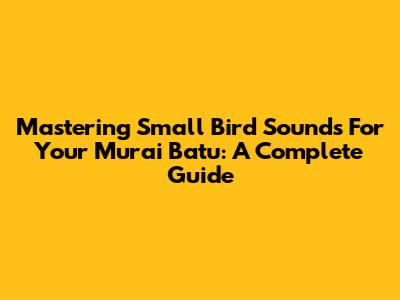 Mastering Small Bird Sounds For Your Murai Batu: A Complete Guide