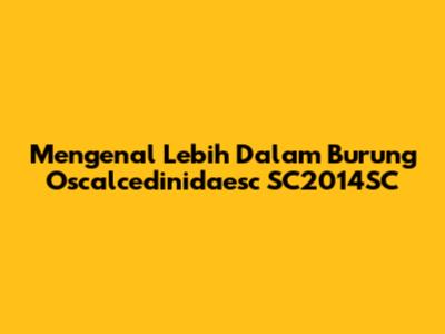 Mengenal Lebih Dalam Burung Oscalcedinidaesc SC2014SC