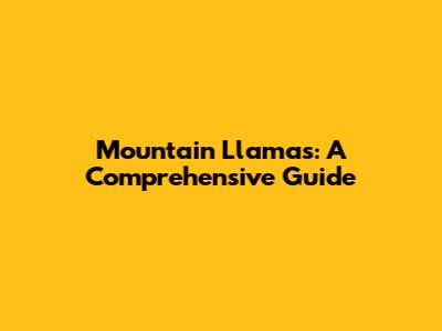 Mountain Llamas: A Comprehensive Guide