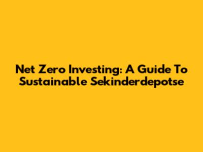 Net Zero Investing: A Guide To Sustainable Sekinderdepotse