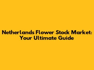 Netherlands Flower Stock Market: Your Ultimate Guide