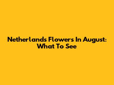 Netherlands Flowers In August: What To See