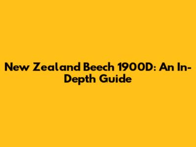 New Zealand Beech 1900D: An In-Depth Guide