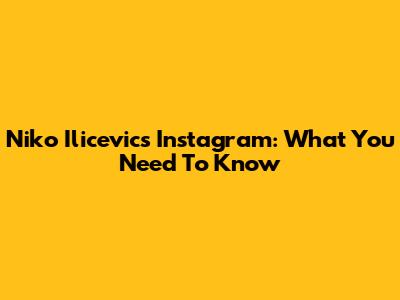 Niko Ilicevic's Instagram: What You Need To Know