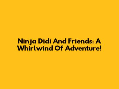 Ninja Didi And Friends: A Whirlwind Of Adventure!