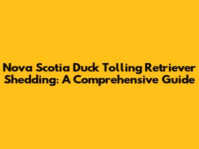 Nova Scotia Duck Tolling Retriever Shedding: A Comprehensive Guide