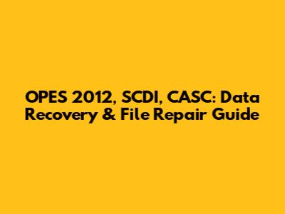 OPES 2012, SCDI, CASC: Data Recovery & File Repair Guide