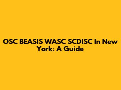 OSC BEASIS WASC SCDISC In New York: A Guide