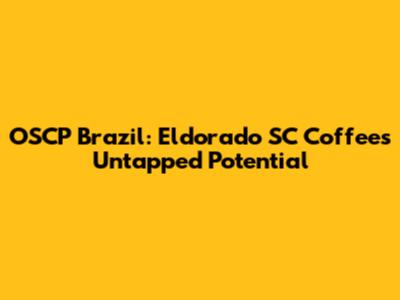 OSCP Brazil: Eldorado SC Coffee's Untapped Potential