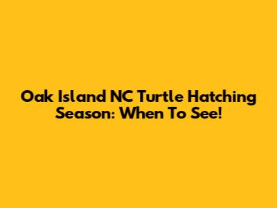 Oak Island NC Turtle Hatching Season: When To See!