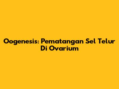 Oogenesis: Pematangan Sel Telur Di Ovarium