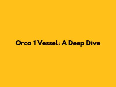 Orca 1 Vessel: A Deep Dive