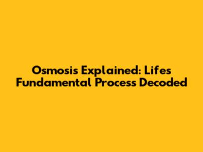 Osmosis Explained: Life's Fundamental Process Decoded