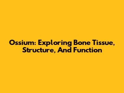 Ossium: Exploring Bone Tissue, Structure, And Function
