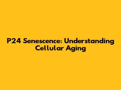 P24 Senescence: Understanding Cellular Aging