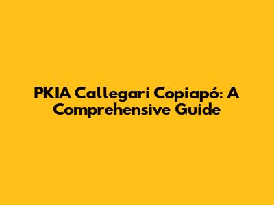 PKIA Callegari Copiapó: A Comprehensive Guide