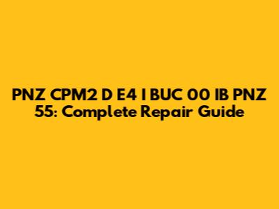 PNZ CPM2 D E4 I BUC 00 IB PNZ 55: Complete Repair Guide