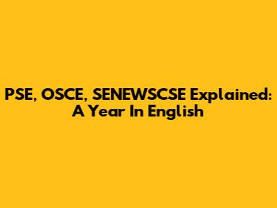 PSE, OSCE, SENEWSCSE Explained: A Year In English