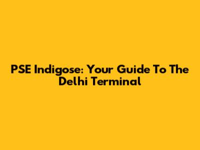 PSE Indigose: Your Guide To The Delhi Terminal