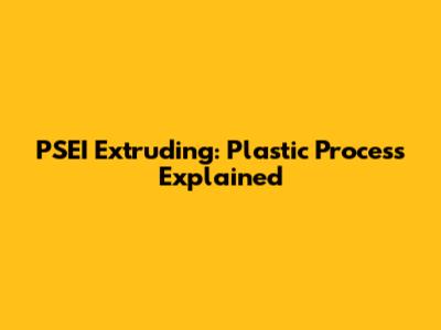 PSEI Extruding: Plastic Process Explained