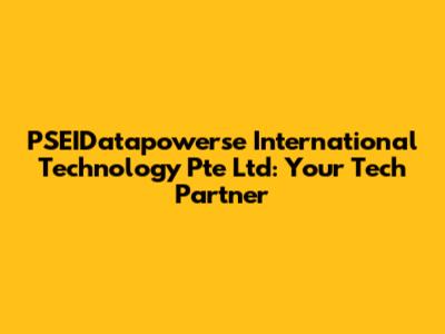 PSEIDatapowerse International Technology Pte Ltd: Your Tech Partner