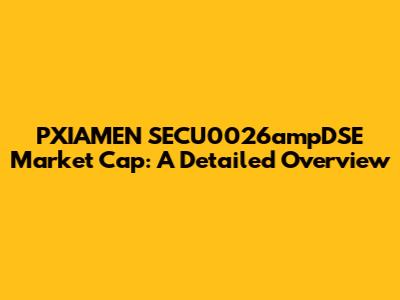 PXIAMEN SECU0026ampDSE Market Cap: A Detailed Overview