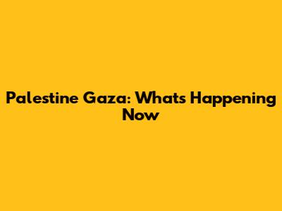 Palestine Gaza: What's Happening Now