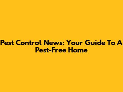 Pest Control News: Your Guide To A Pest-Free Home