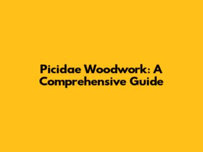 Picidae Woodwork: A Comprehensive Guide