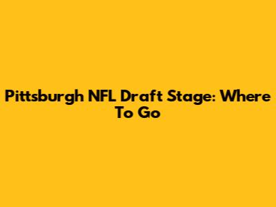 Pittsburgh NFL Draft Stage: Where To Go