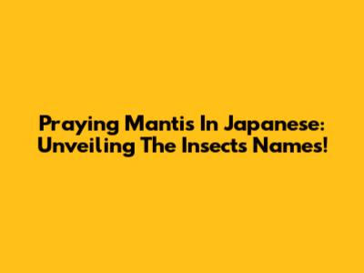 Praying Mantis In Japanese: Unveiling The Insect's Names!