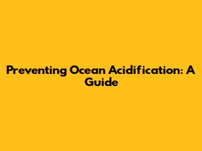 Preventing Ocean Acidification: A Guide