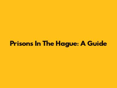Prisons In The Hague: A Guide
