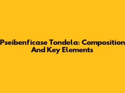 Pseibenficase Tondela: Composition And Key Elements