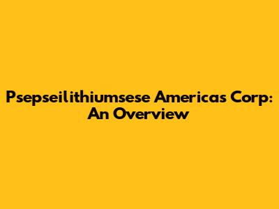 Psepseilithiumsese Americas Corp: An Overview