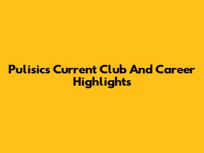 Pulisic's Current Club And Career Highlights