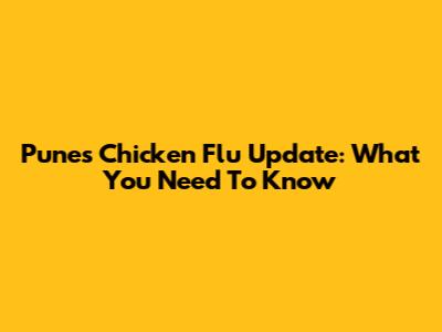 Pune's Chicken Flu Update: What You Need To Know