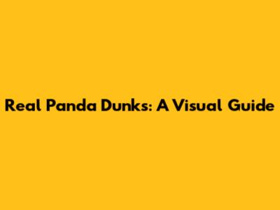 Real Panda Dunks: A Visual Guide
